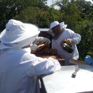 Première extraction de miel - 5 juin 2014